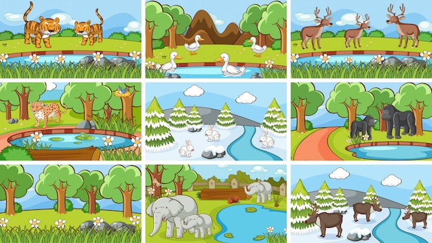 Free vector background scenes of animals in the wild