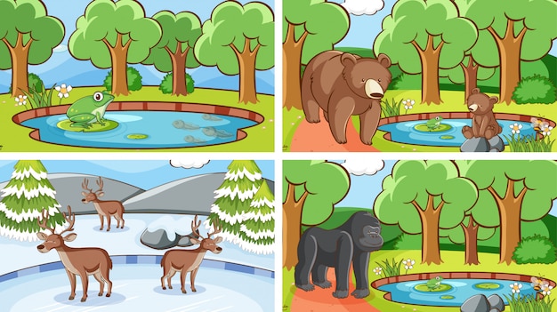 Free Vector background scenes of animals in the wild