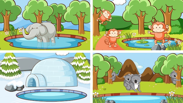 Background scenes of animals in the wild