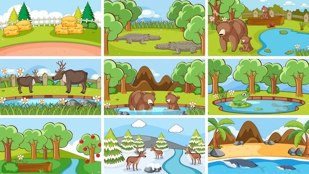 Background scenes of animals in the wild