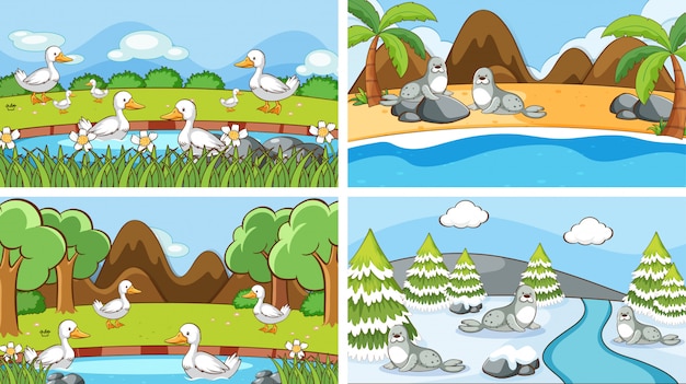 Background scenes of animals in the wild