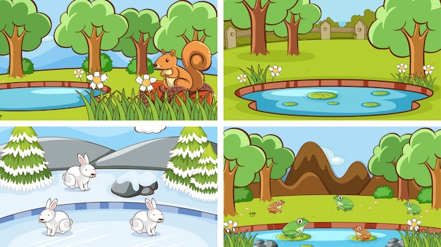 Background scenes of animals in the wild