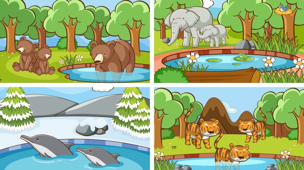 Background scenes of animals in the wild