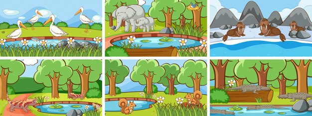 Background scenes of animals in the wild