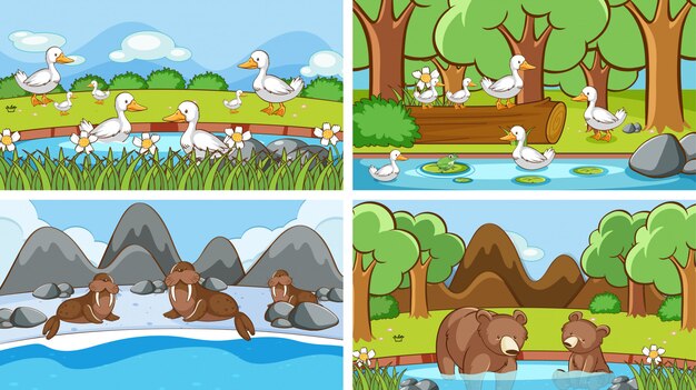 Background scenes of animals in the wild