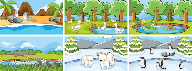 Background scenes of animals in the wild