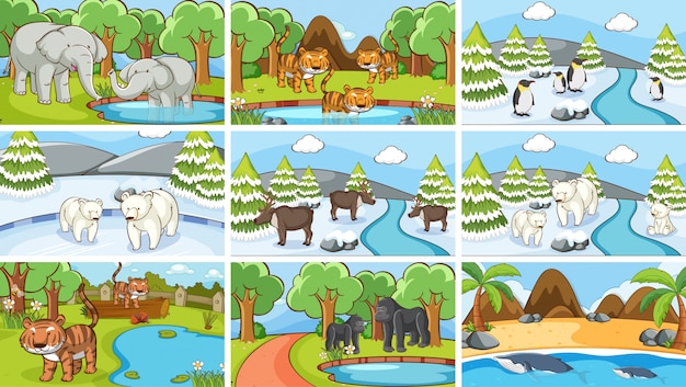 Background scenes of animals in the wild