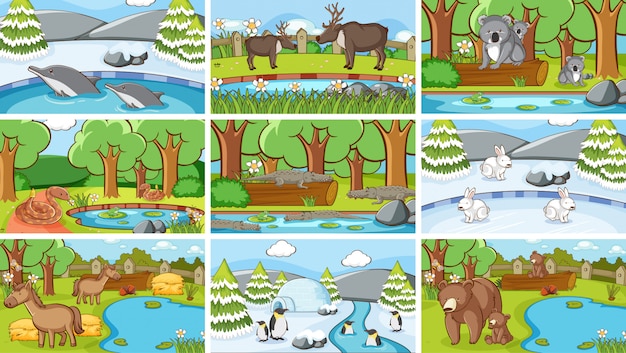 Background scenes of animals in the wild