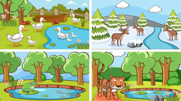 Background scenes of animals in the wild