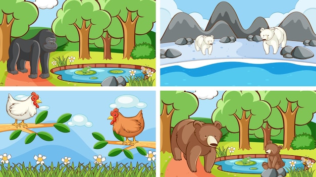 Background scenes of animals in the wild