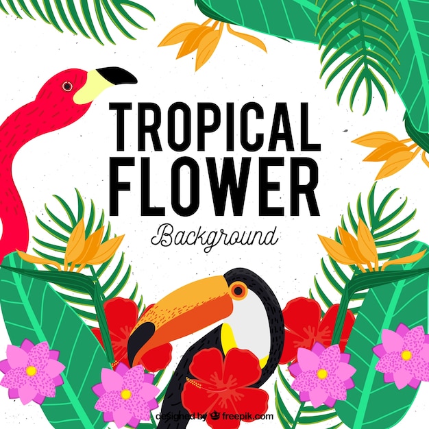 Background of tropical flowers with flamingo and toucan