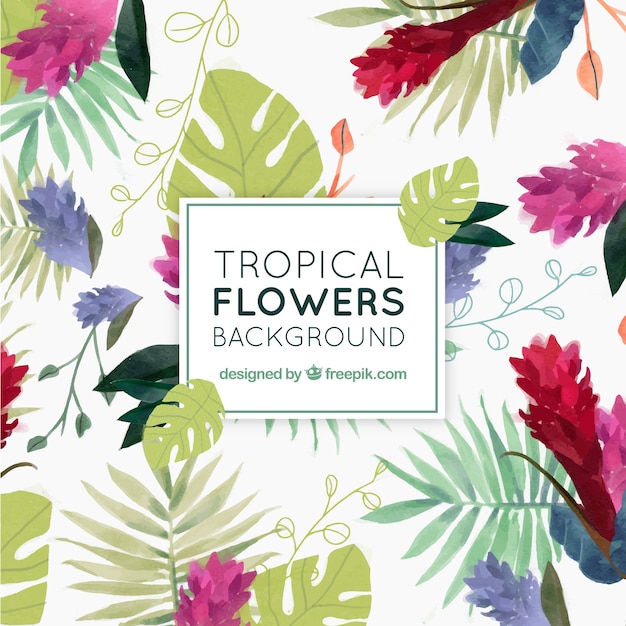 Background of tropical watercolor flowers