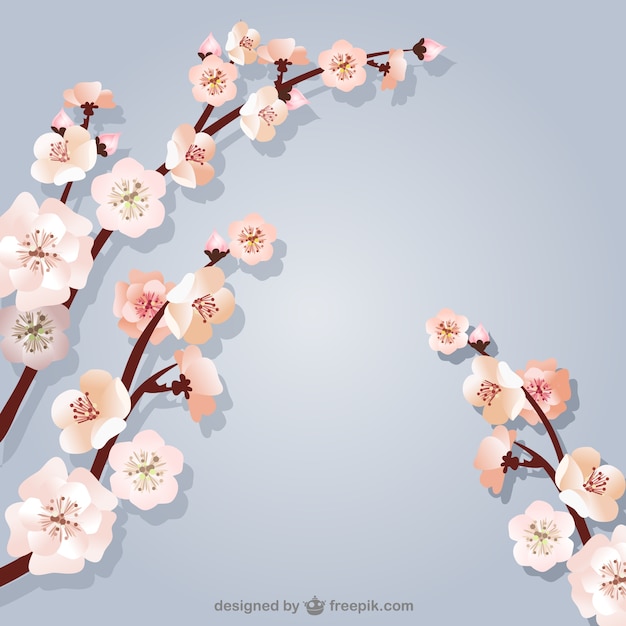 Free Vector background with cherry tree branches