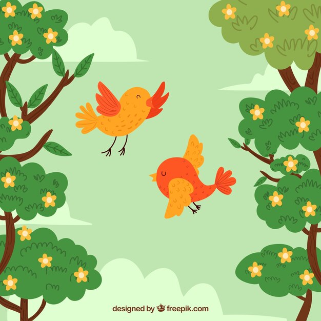 Background with cute birds in forest