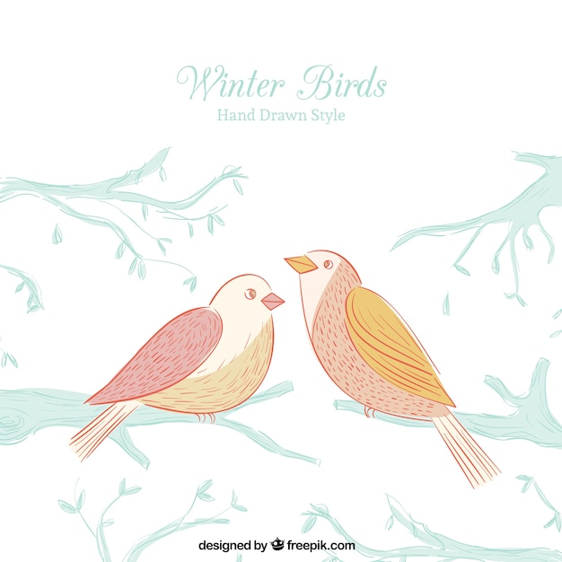 Free Vector background with pretty birds drawn