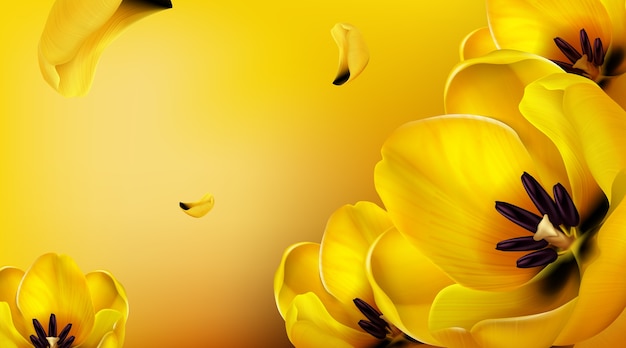 Background with yellow tulips, flying petals and copy space for text.