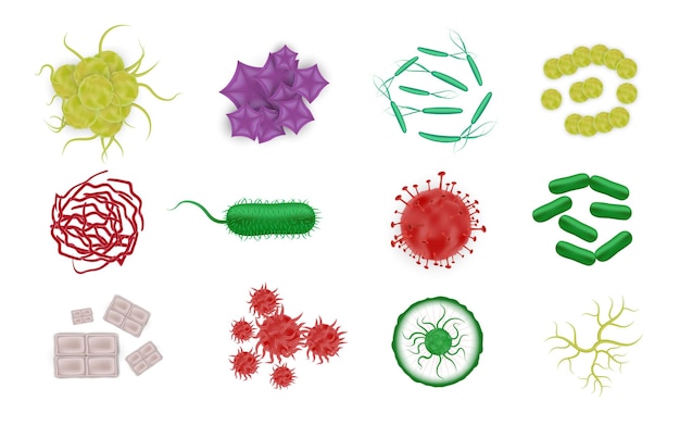 Free vector bacteria shapes realistic icons