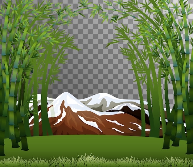 Free Vector bamboo forest scene with transparent background