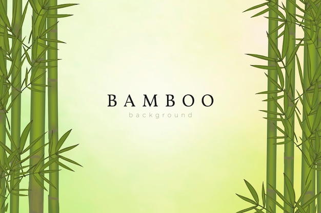 Bamboo tree background