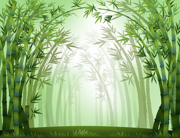 Free Vector bamboo