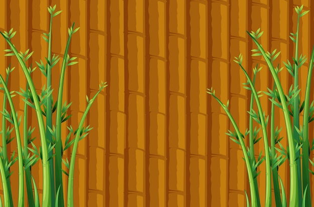 Bamboo