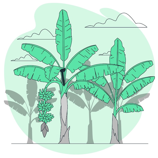 Free Vector banana tree concept illustration