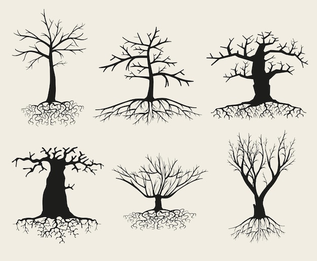 Free Vector bare tree silhouette set with roots