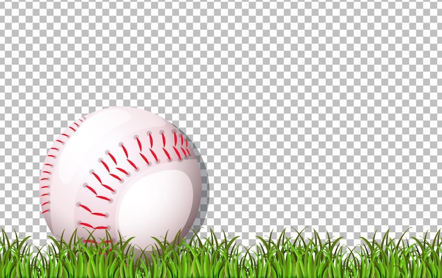 Free Vector baseball and grass on transparent background