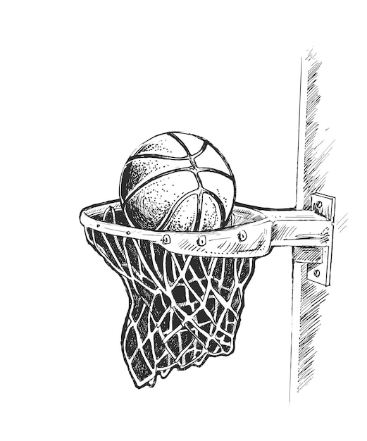 Free vector basketball basket shot hoop game hand drawn sketch vector illustration