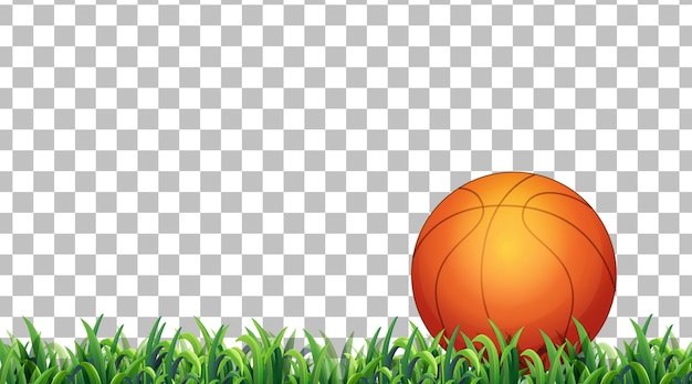 Free Vector basketball on the grass field on transparent background