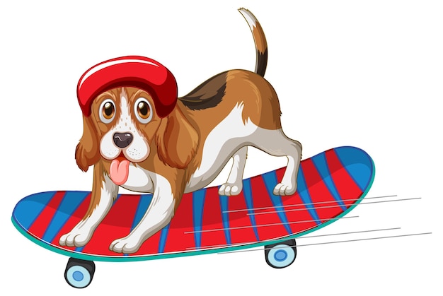 Free Vector beagle dog wears helmet standing on skateboard