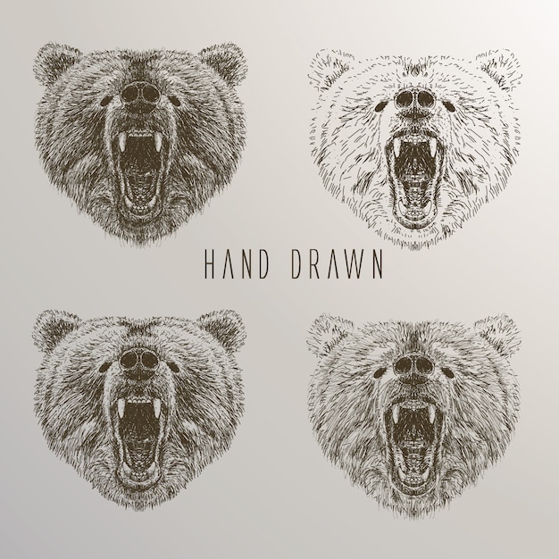 Free vector bear's head hand drawn collection