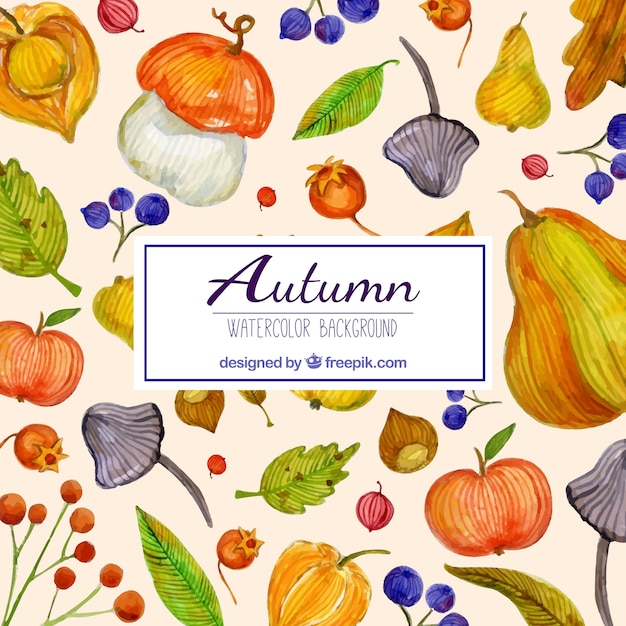 Free Vector beautiful autumn background