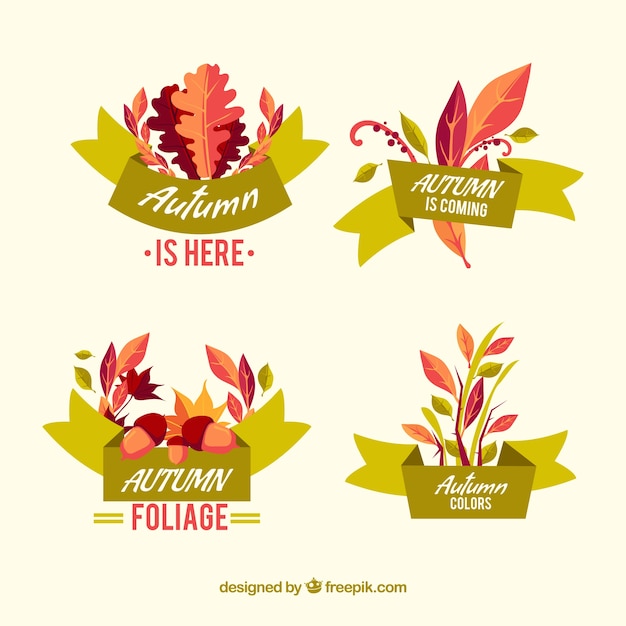 Free Vector beautiful autumn badge collection