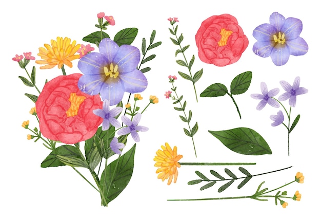 Free vector beautiful bouquet of flowers and leave for decoration in water colors style