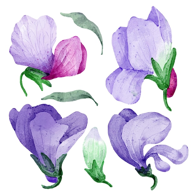 Free vector beautiful bouquet of flowers and leave in water colors style