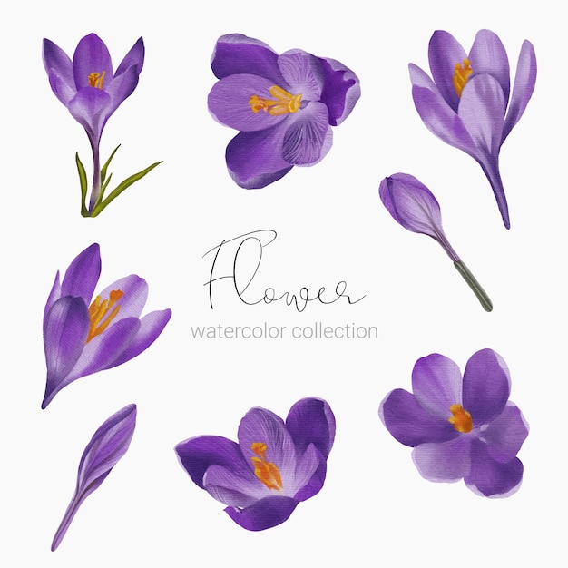 Free Vector beautiful bouquet of flowers and leave in water colors style