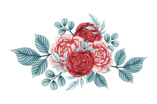 rose illustrations