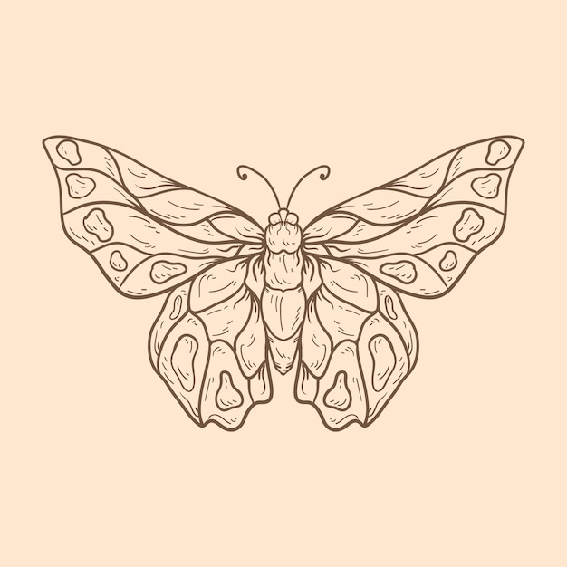 Beautiful butterfly outline illustration