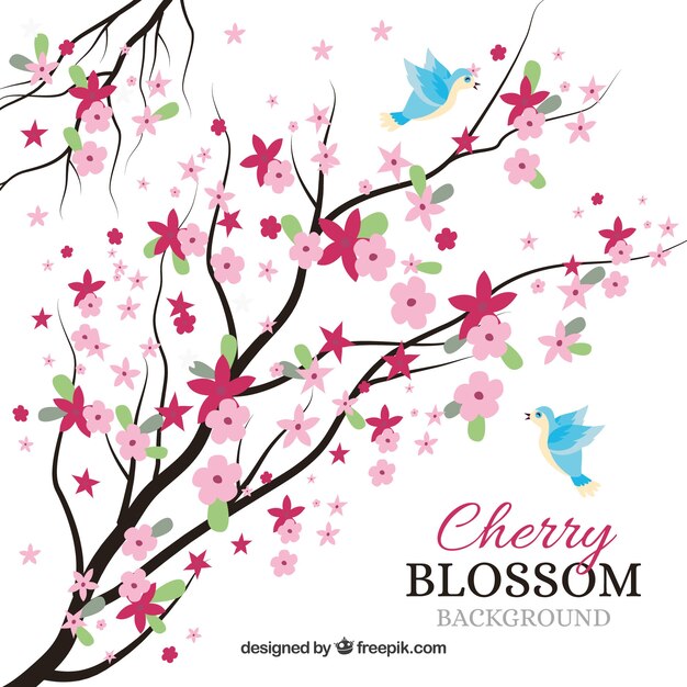 Beautiful cherry blossom background