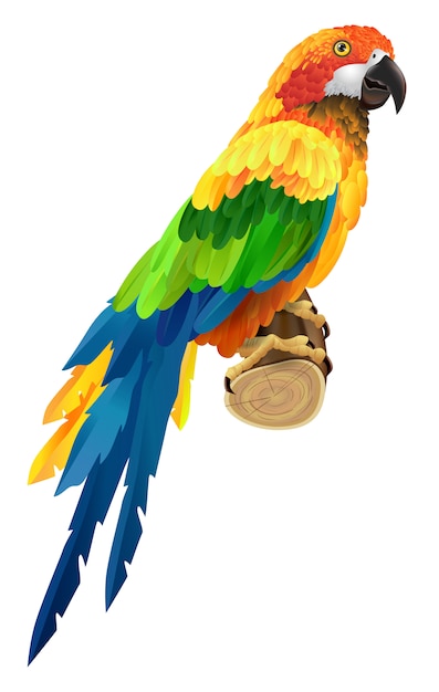 Beautiful colorful parrot on twig. Bird, fauna, wildlife. Tropics concept. 