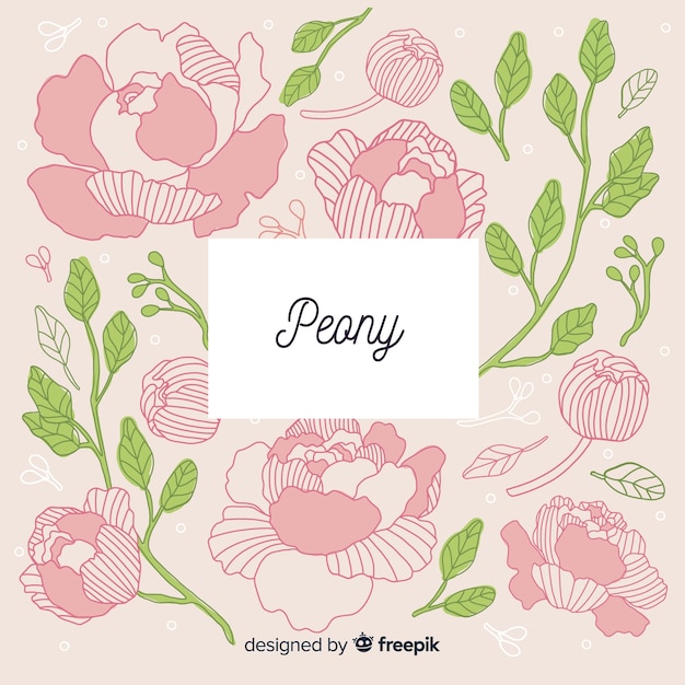 Free Vector beautiful and creative peony flower background