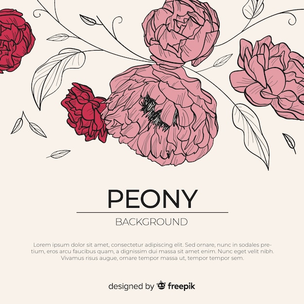 Free Vector beautiful and elegant peony flower background