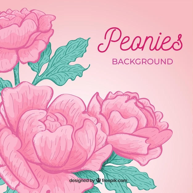 Free Vector beautiful and elegant peony flower background