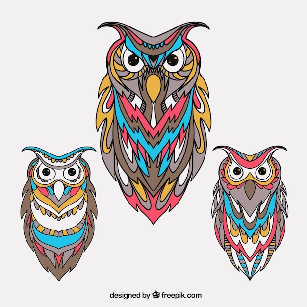 Free Vector beautiful ethnic owl collection