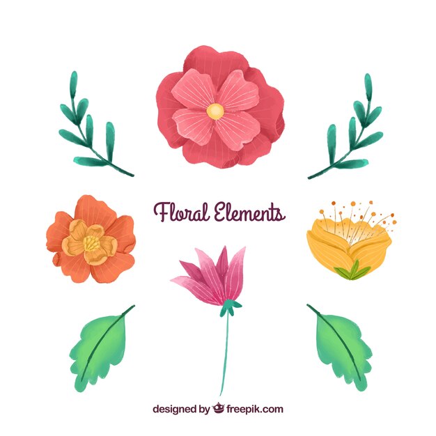 Beautiful floral elements collection