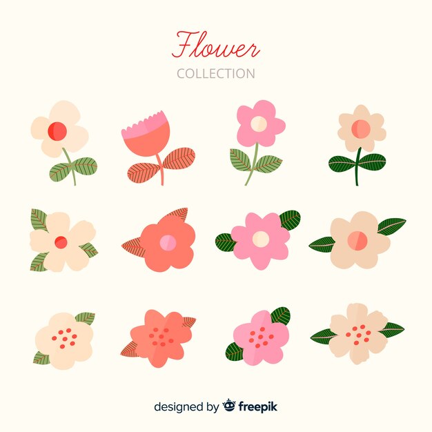 Beautiful flowers collection