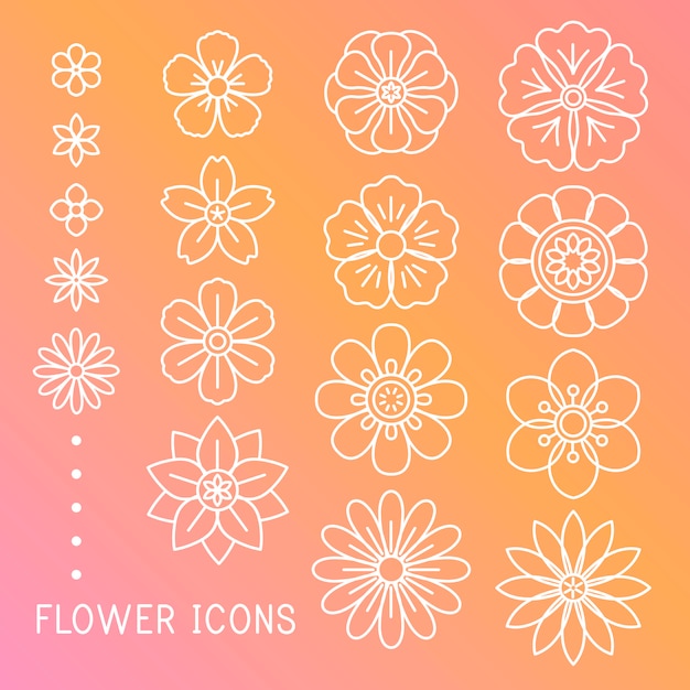 Beautiful flowers vector