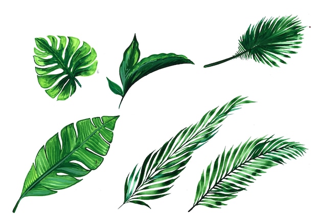 Beautiful green tropical leaves set design