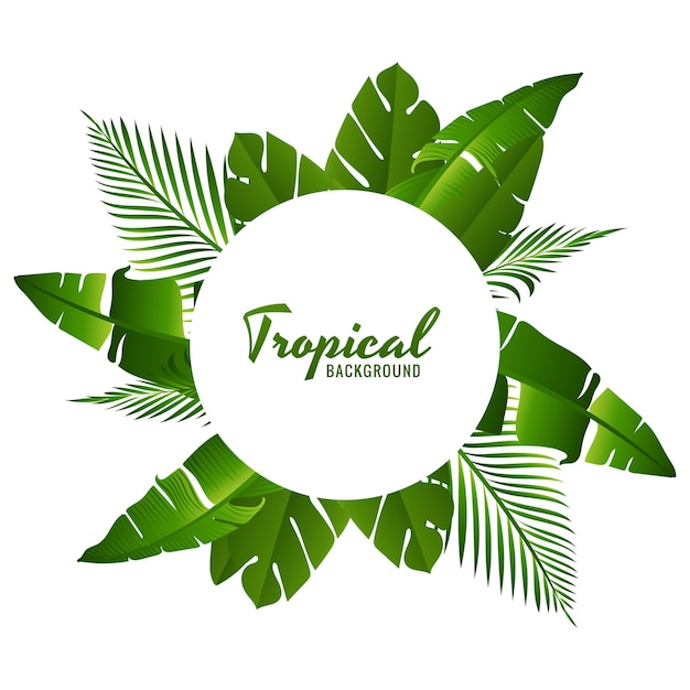 Free vector beautiful green tropical leaves